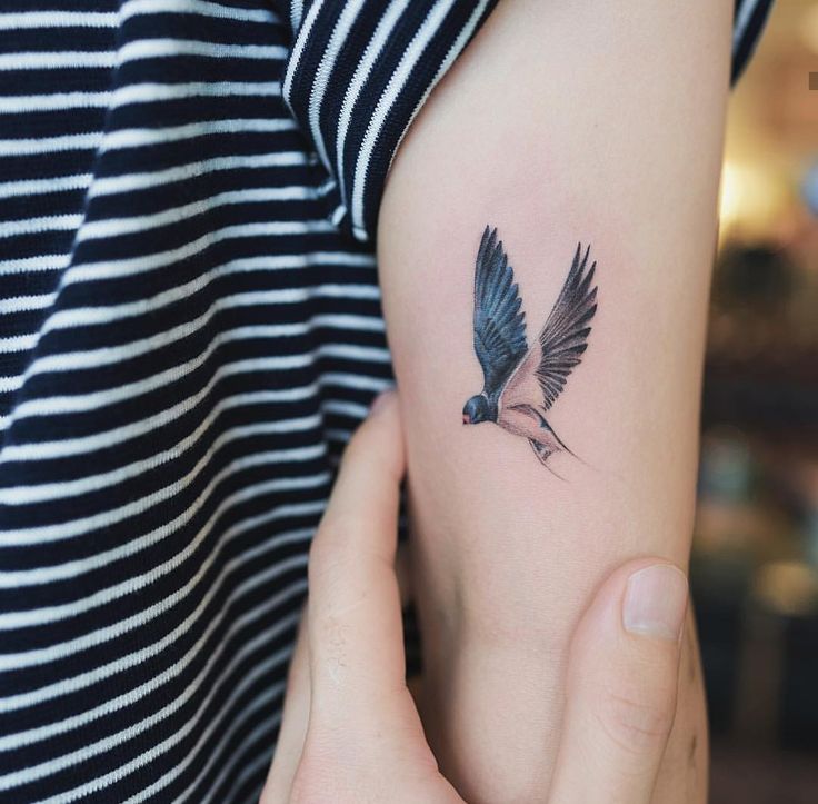 tattoo hình con chim đơn giản ở tay