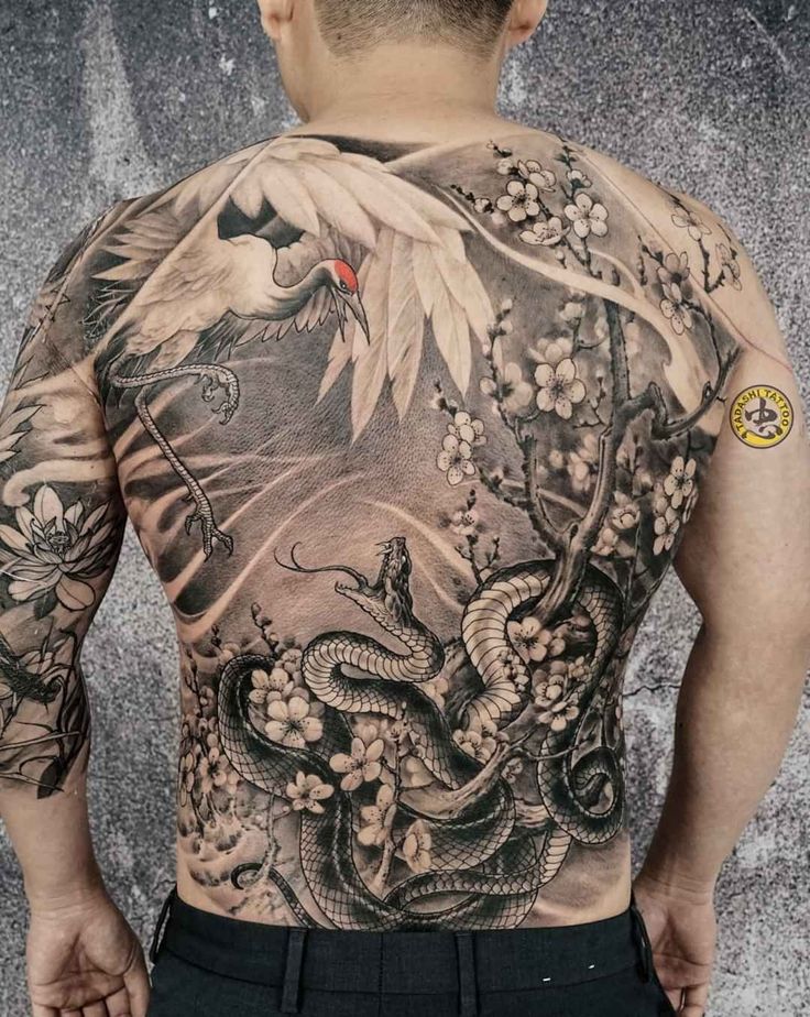 tattoo trận chiến của hạc và rắn cực chất