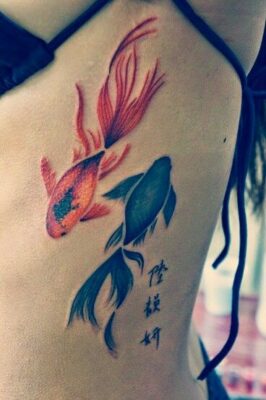 ý tưởng tattoo mạn sườn mẫu cá chép đôi